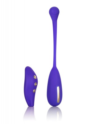 Bila Vaginala Impulse E-Stim Remote Control USB Silicon Mov foto