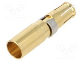 Connector CONEC Hochstrom Crimp Kontakt AWG 10-8 40A