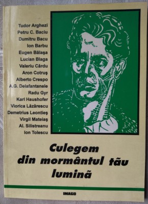 CULEGEM DIN MORMANTUL TAU LUMINA (VERSURI, antologie de FLOR STREJNICU - 1999) foto