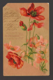 CPIB 20809 FELICITARE IN RELIEF - FLORI DE MAC, 1900 - 1910, VIENA, Circulata, Printata