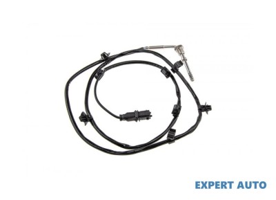 Senzor temperatura gaze dpf Opel Astra J (2009-&amp;gt;)[P10] #1 foto