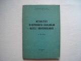 Actualitati in reproductia cabalinelor - bazele endocrinologice - V. Paraipan