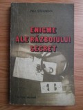 Paul Stefanescu - Enigme ale războiului secret