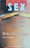 Sex ce? cum? de ce? Ghidul adolescentului - 1998 - Jane Goldman (T276)