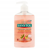 Sapun Lichid Dezinfectant Sanytol, 250 ml, Parfum de Grapefruit, Sapun pentru Maini, Sapun Dezinfectant de Maini, Sapun Dezinfectant Lichid, Dezinfect