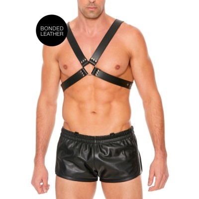 Leather Harness with Large Buckle One Size foto