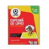 Cumpara ieftin Capcana Lipicioasa Soareci si Insecte Lipio, Non-Toxica, Interior/Exterior, 21.5 x 33 cm