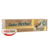 DABUR Ayurvedic Toothpaste (Paste de Dinti Ayurvedica - 26 Plante) 100ml