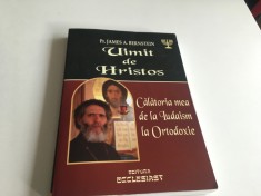 PR. JAMES BERNSTEIN, UIMIT DE HRISTOS. CALATORIA MEA DE LA IUDAISM LA ORTODOXIE