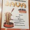 JAVA. Biblioteca programatorului de Suleiman Lalani