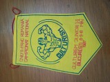 FANION CAMPIONATUL NATIONAL DE CULTURISM JUNIORI 1987 , RSR .SUPERB