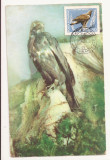 CA9 -Carte Postala- Acvila de munte ,circulata 1984