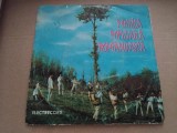 Disc vinil Muzica populara romaneasca