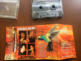 Pasarea colibri in cautarea cuibului pierdut caseta audio muzica rock folk 1995, Casete audio