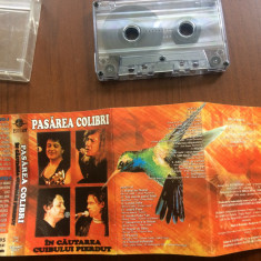 pasarea colibri in cautarea cuibului pierdut caseta audio muzica rock folk 1995