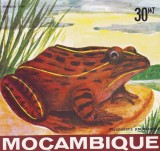 Mozambic 1985 - Broaște, fauna, colita neuzata