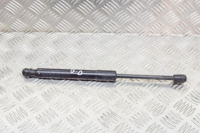 Amortizor haion dreapta TESLA MODEL 3 2019 OEM: 1091560-00-B 12079933 foto