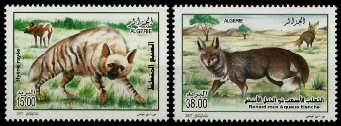 ALGERIA 2007 FAUNA ANIMALE SALBATICE