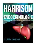Harrison. Endocrinologie - Paperback brosat - Larry J. Jameson - All