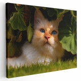 Tablou pisica crem printre frunze Tablou canvas pe panza CU RAMA 40x60 cm