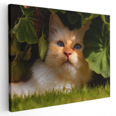 Tablou pisica crem printre frunze Tablou canvas pe panza CU RAMA 20x30 cm foto