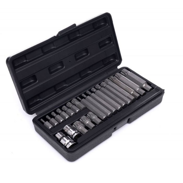 Trusa Set bit spline stelate M4-M18 22 piese scurte lungi (KD10539)