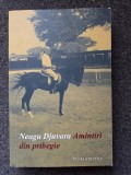 AMINTIRI DIN PRIBEGIE - Neagu Djuvara