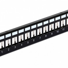 Patch Panel metalic 10" pentru keystone 12 porturi negru, Delock 43326