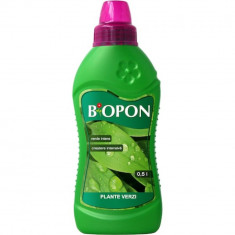 Ingrasamant plante frunze Biopon 05 l