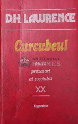 Curcubeul - 1992 - David Herbert Lawrence (Y156) foto