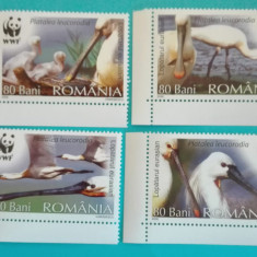 TIMBRE ROMÂNIA LP1744/2006 PĂSĂRI PROTEJATE WWF- serie simplă MNH