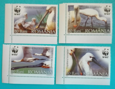 TIMBRE ROM&amp;Acirc;NIA LP1744/2006 PĂSĂRI PROTEJATE WWF- serie simplă MNH foto