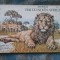 Carte copii Hai cu noi &icirc;n Africa vintage