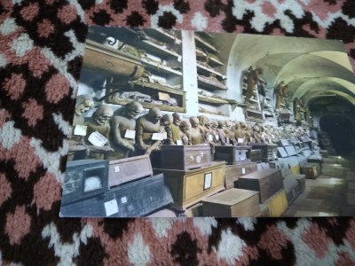 CARTE POSTALA - PALERMO NECIRCULATA foto