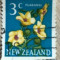 Noua Zeelanda Venea nalba (Hibiscus trionum) Puarangi
