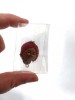 Martisor vechi romanesc anii 70-80, cap de femeie, colectie