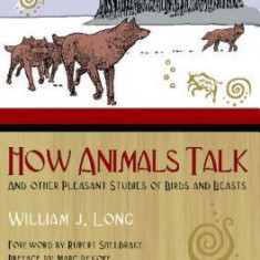 How Animals Talk: And Other Pleasant Studies of Birds and Beasts