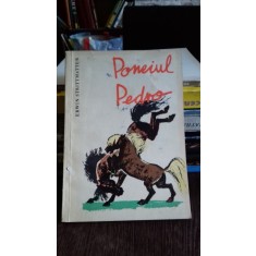 PONEIUL PEDRO - ERWIN STRITTMATTER