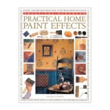 Practical Home Paint Effects (Practical Handbooks (Lorenz))