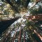 Husa Personalizata ALLVIEW P5 eMagic Forest 2