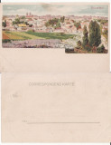 Salutari din Bucuresti - Vedere generala- litografie 1900, Necirculata, Printata