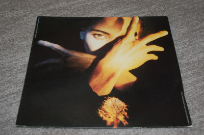 VINYL - TERENCE TRENT D&amp;#039;ARBY&amp;#039;S - NEITHER FISH NOR FLASH 1989 CBS465809-1 - LP foto