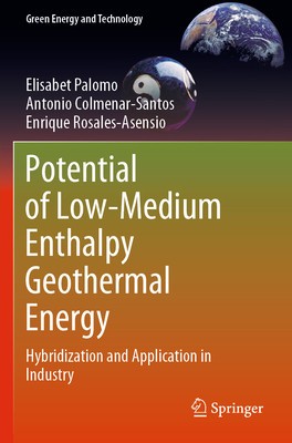 Potential of Low-Medium Enthalpy Geothermal Energy: Hybridization and Application in Industry foto