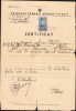 HST A2258 Certificat naționalitate colonel dr Constantin Stamatiu Pitești 1943