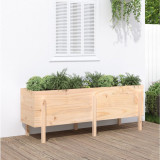 Strat &icirc;nălțat de grădină, 160x50x57 cm, lemn masiv de pin, vidaXL