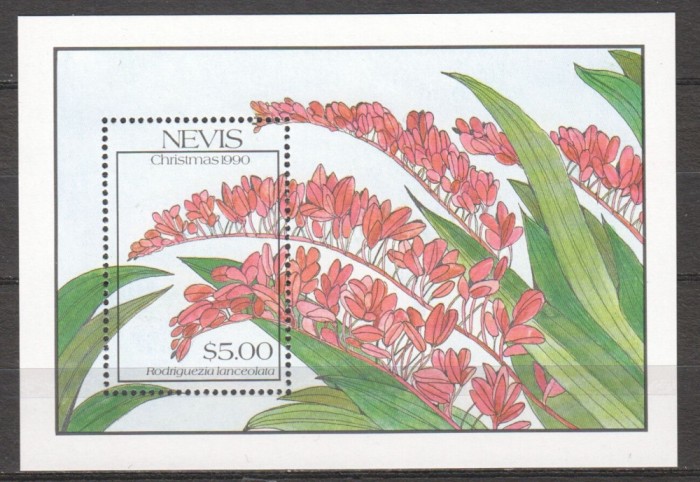 NEVIS 1990 FLORI