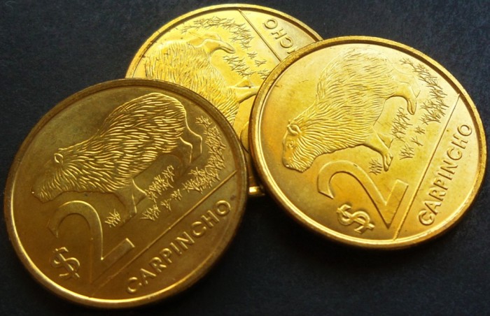 Moneda exotica 2 PESOS - URUGUAY anul 2012 *cod 1897 A = UNC CARPINCHO