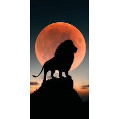 Husa Personalizata HUAWEI Nova 6 King of the jungle