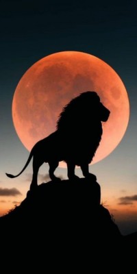 Husa Personalizata HUAWEI P Smart (2020) King of the jungle foto