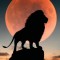 Husa Personalizata ALLVIEW A5 Ready King of the jungle